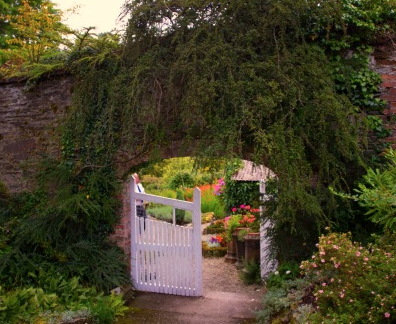 White gate under the ivy-clad brick archway into the walled garden